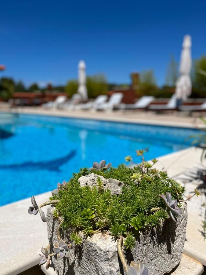 Apartment With Swimming Pool Jelsa (Hvar) Exterior foto