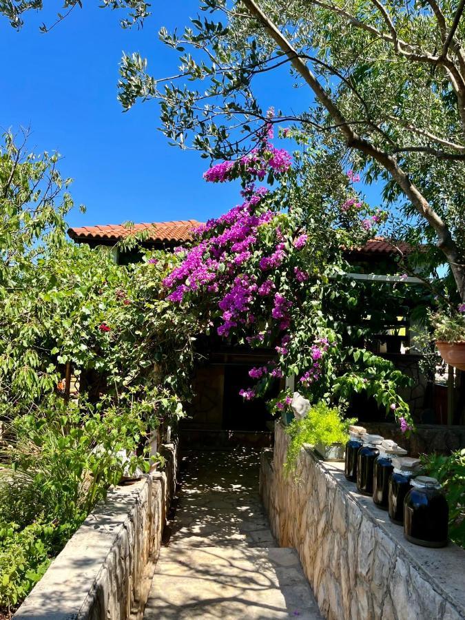 Apartment With Swimming Pool Jelsa (Hvar) Exterior foto
